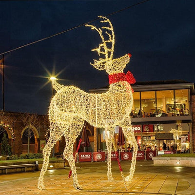 Reindeer