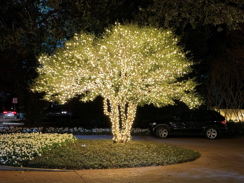 Picture of a tree decorated with warm white led lights 