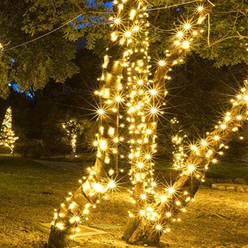 50L 5MM LED Twinkle Mini Lights, 4" spacing.  with male and female plug