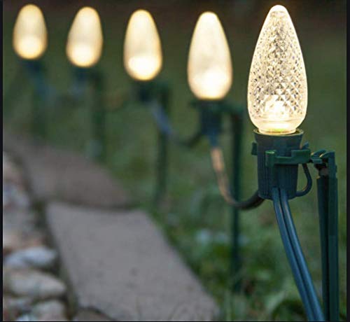 Picture of multiple c7 warm white Christmas light bulbs on ground stakes